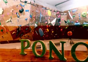 Polding Knot Climbing Gym