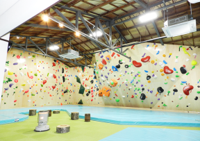 Blue Bird bouldering gym