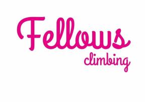 Fellowsclimbing