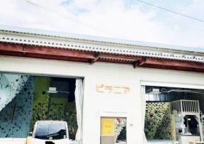 ピラニア石和店